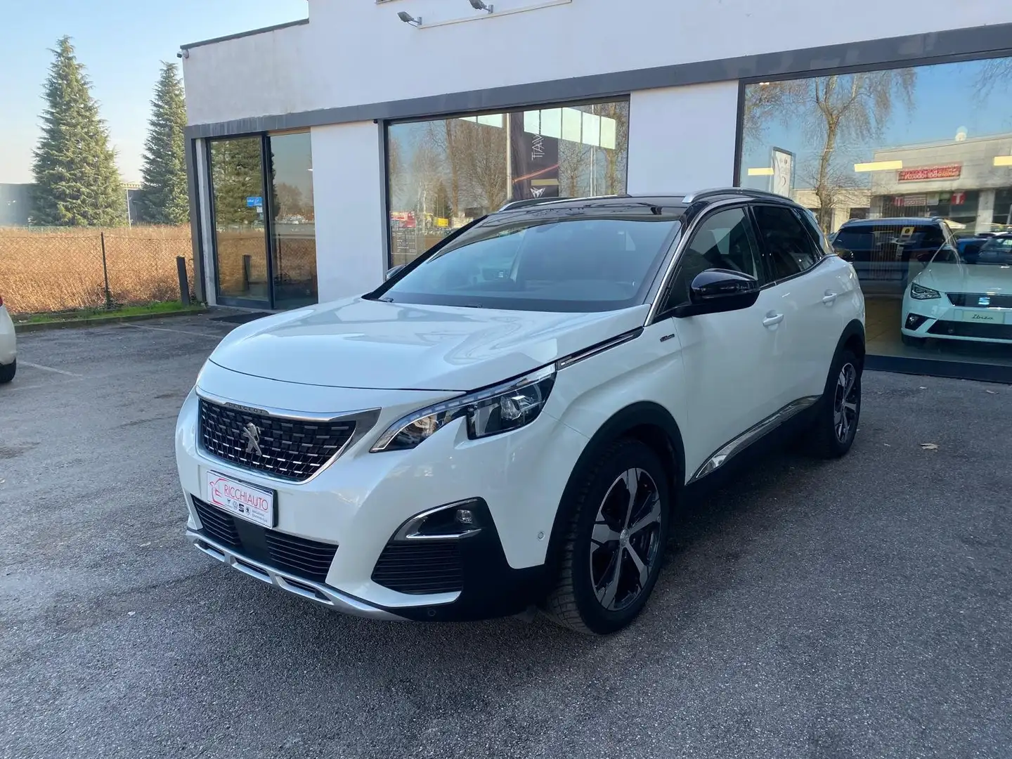 Peugeot 3008 3008 1.5 bluehdi GT Line Bianco - 2