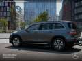 Mercedes-Benz EQB 250 PROG+ADVANCED+AHK+KAMERA+SPUR Grau - thumbnail 15