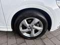 Audi Q3 35 TDI 2.0 150cv S tronic Business Advanced Blanc - thumbnail 27