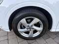 Audi Q3 35 TDI 2.0 150cv S tronic Business Advanced Blanc - thumbnail 30