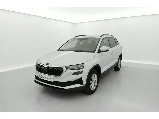 Skoda Karoq 2.0 TDI 115 Clever