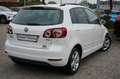 Volkswagen Golf Plus 1.6 TDI  Comfortline Blanc - thumbnail 8