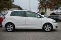Volkswagen Golf Plus 1.6 TDI  Comfortline Blanc - thumbnail 6