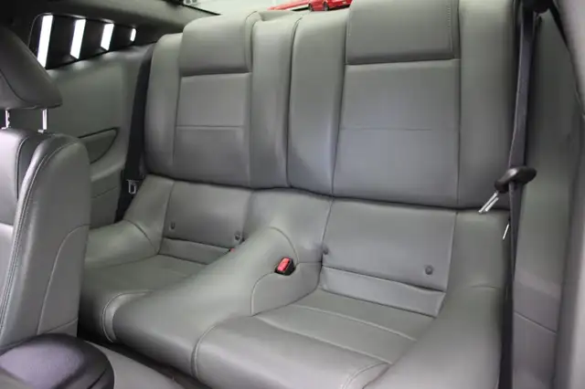 Ford Mustang view 10