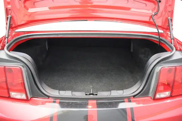 Ford Mustang view 12