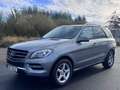 Mercedes-Benz ML 350 BlueTEC 4MATIC 7G-TRONIC euro 6 - thumbnail 2