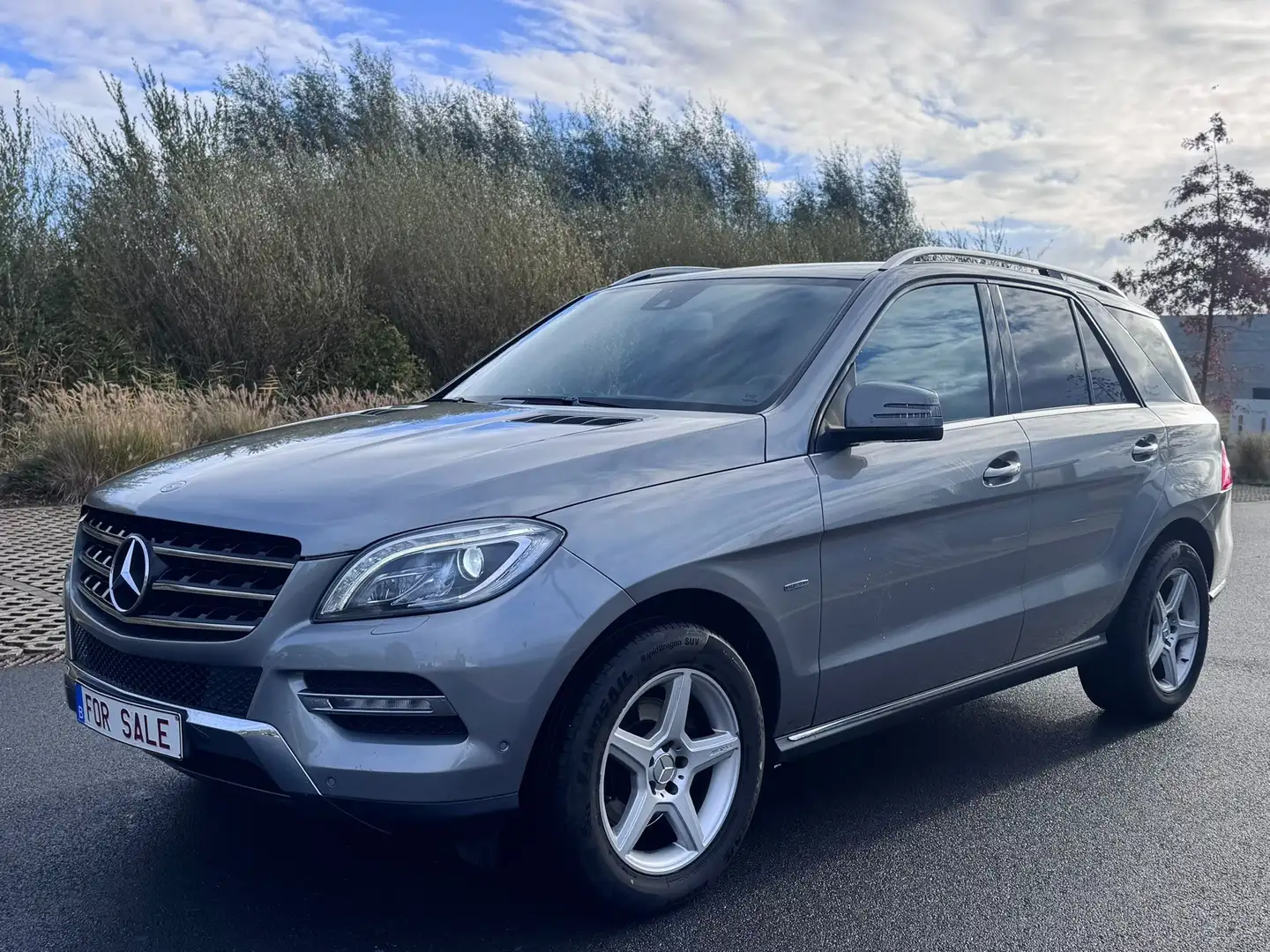 Mercedes-Benz ML 350 BlueTEC 4MATIC 7G-TRONIC - 2
