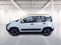 Fiat Panda 1.0 firefly hybrid Cross s&s 70cv 5p.ti Blanc - thumbnail 4