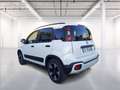 Fiat Panda 1.0 firefly hybrid Cross s&s 70cv 5p.ti Blanc - thumbnail 5