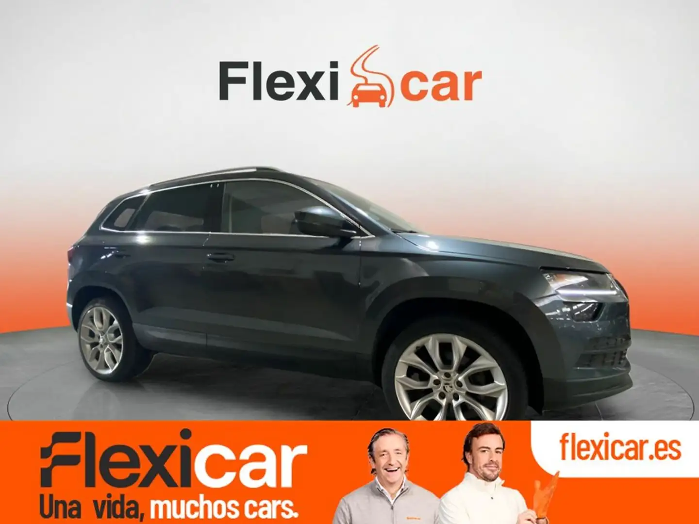 Skoda Karoq 2.0 TDI 110kW (150CV) DSG 4X4 Ambition Gris - 1