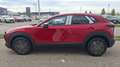 Mazda CX-30 / inkl. Alu-WR / e-Skyactive G140 Makoto Rot - thumbnail 4