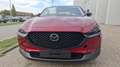 Mazda CX-30 / inkl. Alu-WR / e-Skyactive G140 Makoto Rot - thumbnail 3