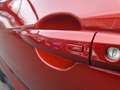 Nissan Juke JUKE N-Design 1.0 DIG-T 114 PS 7 DCT Rot - thumbnail 12