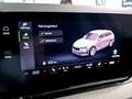 Skoda Octavia 4x4 Ambition TDI DSG Blau - thumbnail 21
