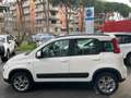 Fiat New Panda Panda 1.3 mjt 16v 4x4 75cv CLIMBING Білий - thumbnail 13