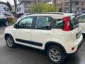 Fiat New Panda Panda 1.3 mjt 16v 4x4 75cv CLIMBING Blanc - thumbnail 8