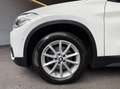 BMW X1 xDrive18d Advantage Aut./KAMERA/LED/SPORTSITZE/... Weiß - thumbnail 22