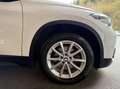 BMW X1 xDrive18d Advantage Aut./KAMERA/LED/SPORTSITZE/... Weiß - thumbnail 24
