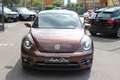 Volkswagen Maggiolino 1.2 TSI ALLSTAR SPORT 6 MARCE PER NEOPATENTATI Bronz - thumbnail 2