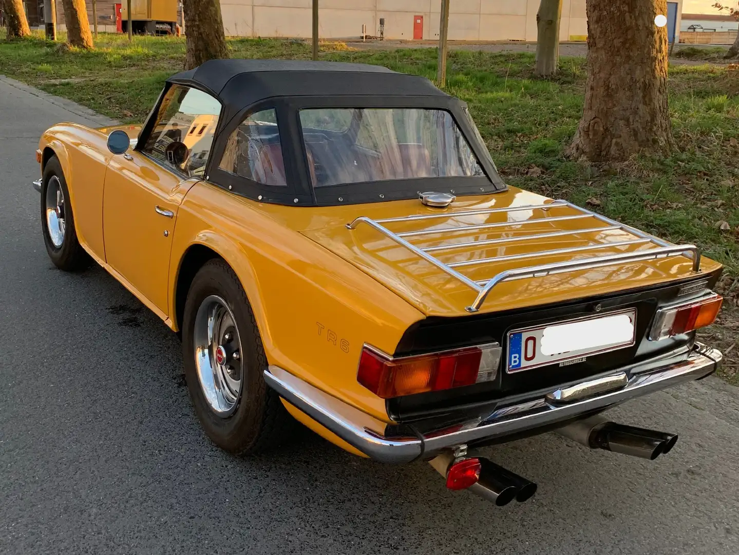 Triumph TR6 Geel - 2