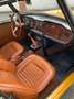 Triumph TR6 Yellow - thumbnail 4