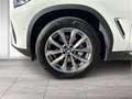 BMW X4 xDrive30d Business Paket Plus | M Sportfahrwerk Weiß - thumbnail 6