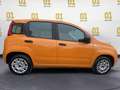 Fiat Panda 1.2 Easy Arancione - thumbnail 7