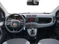 Fiat Panda 1.2 Easy Arancione - thumbnail 13