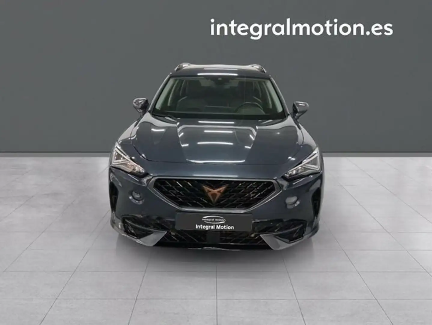 CUPRA Formentor 2.0 TDI 110kW (150 CV) 4Drive DSG Gris - 2
