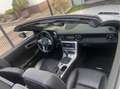 Mercedes-Benz SLK 250 SLK-Klasse CDI (BlueEFFICIENCY) 7G-TRONIC Plateado - thumbnail 7