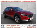 Mazda CX-30 G122 Comfort+ Rot - thumbnail 1