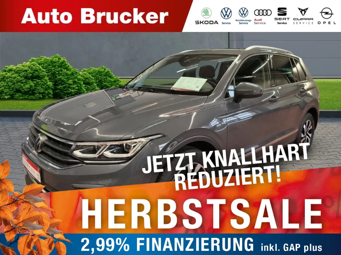 Volkswagen Tiguan Active 2.0 TDI+Anhängerkupplung+Navi+Klimaautomati Grijs - 1