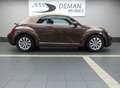 Volkswagen Beetle 1.2 TSI* Capteurs de stationnement* Coupe-vent Bruin - thumbnail 14