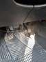 Volkswagen Golf Golf 1.6 Grau - thumbnail 8