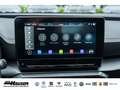 CUPRA Formentor 2.0 TDI NAVI ACC PARK LED Weiß - thumbnail 21