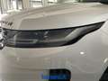 Land Rover Range Rover Evoque 2.0d i4 mhev S awd 163cv auto Bianco - thumbnail 9