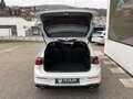Volkswagen Golf GTI GTI Clubsport Weiß - thumbnail 6