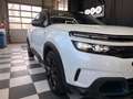 Citroen C5 Aircross Shine Pack Hybrid 1 BESITZ! Weiß - thumbnail 4