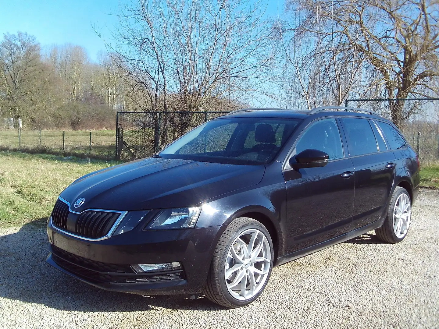Skoda Octavia Break Benzine 115PK 18"Alu Edition Topwagen 2021 Zwart - 2