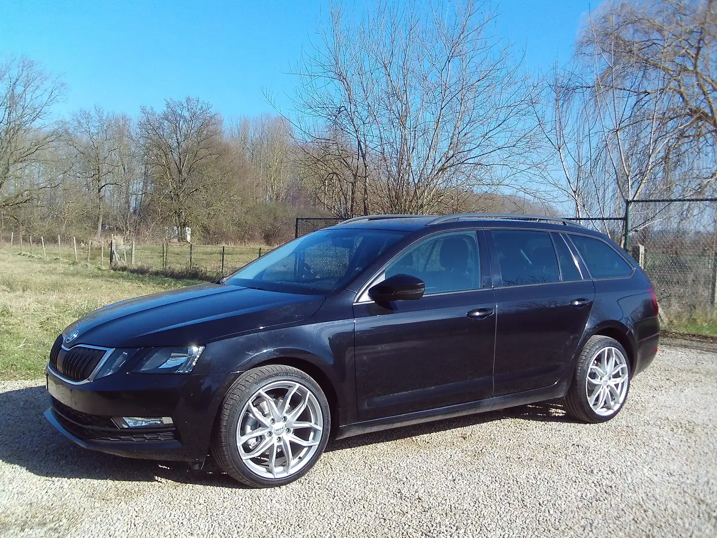Skoda Octavia Break Benzine 115PK 18"Alu Edition Topwagen 2021 Zwart - 1