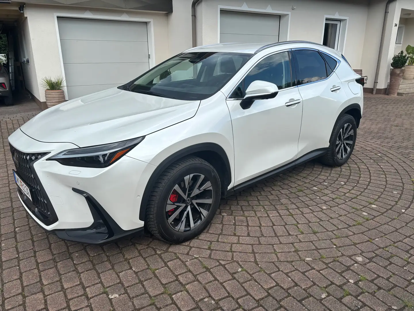 Lexus NX 450h+ NX 450h  E-Four Luxury Aut. Luxury Weiß - 2