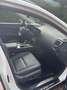 Lexus NX 450h+ NX 450h  E-Four Luxury Aut. Luxury Weiß - thumbnail 7