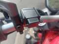 Ducati Monster 821 MONSTER 821 EN PARFAIT ETAT, DEPOT VENTE, 7650  EU Rot - thumbnail 7