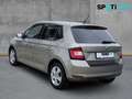 Skoda Fabia Ambition 1.2 TSI, Klima,PDC,Allwetter,AHK Beige - thumbnail 6