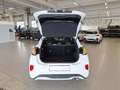 Ford Puma 1.0 EcoBoost Hybrid 125 CV S&S ST-Line Bianco - thumbnail 5