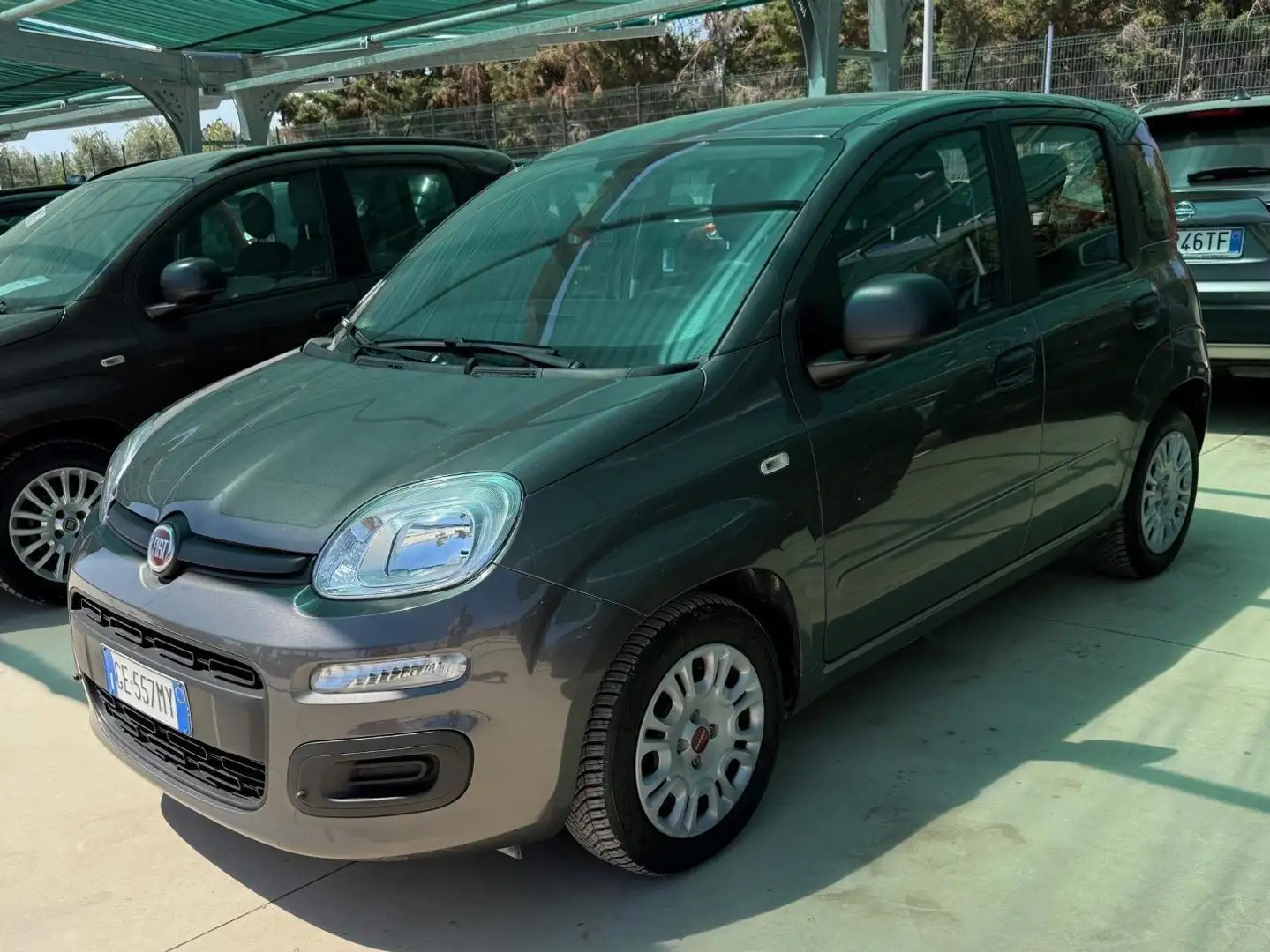 Fiat Panda Panda III 2021 1.0 firefly hybrid s Gris - 1