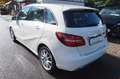 Mercedes-Benz B 200 Edition B Navi-LED-PDC-Sitzh.-WR- 44773 km Bianco - thumbnail 4