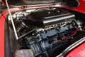 Ferrari 246 GTS Dino Built for the European market - Delivered Rouge - thumbnail 18