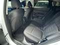 Hyundai TUCSON Tucson III 2024 1.6 t-gdi 48V Business 2wd mt Bianco - thumbnail 14