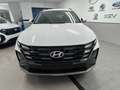 Hyundai TUCSON Tucson III 2024 1.6 t-gdi 48V Business 2wd mt Bianco - thumbnail 7